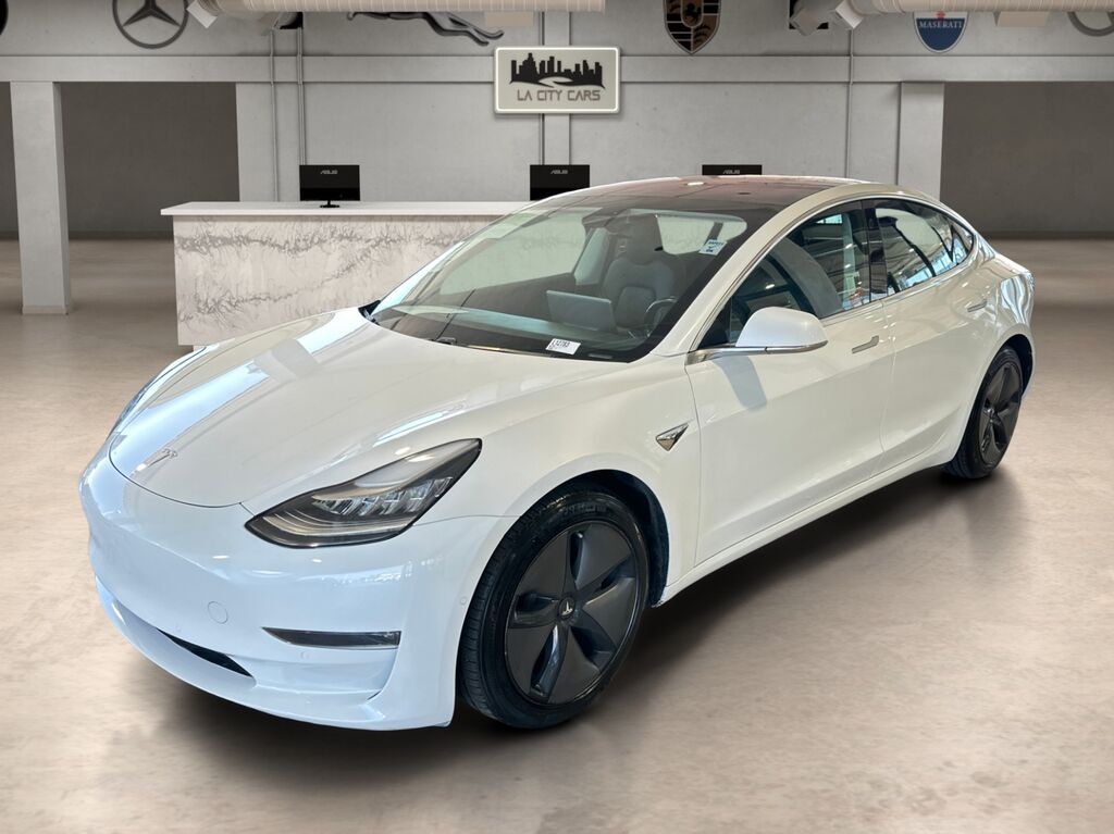 2019 TESLA Model 3