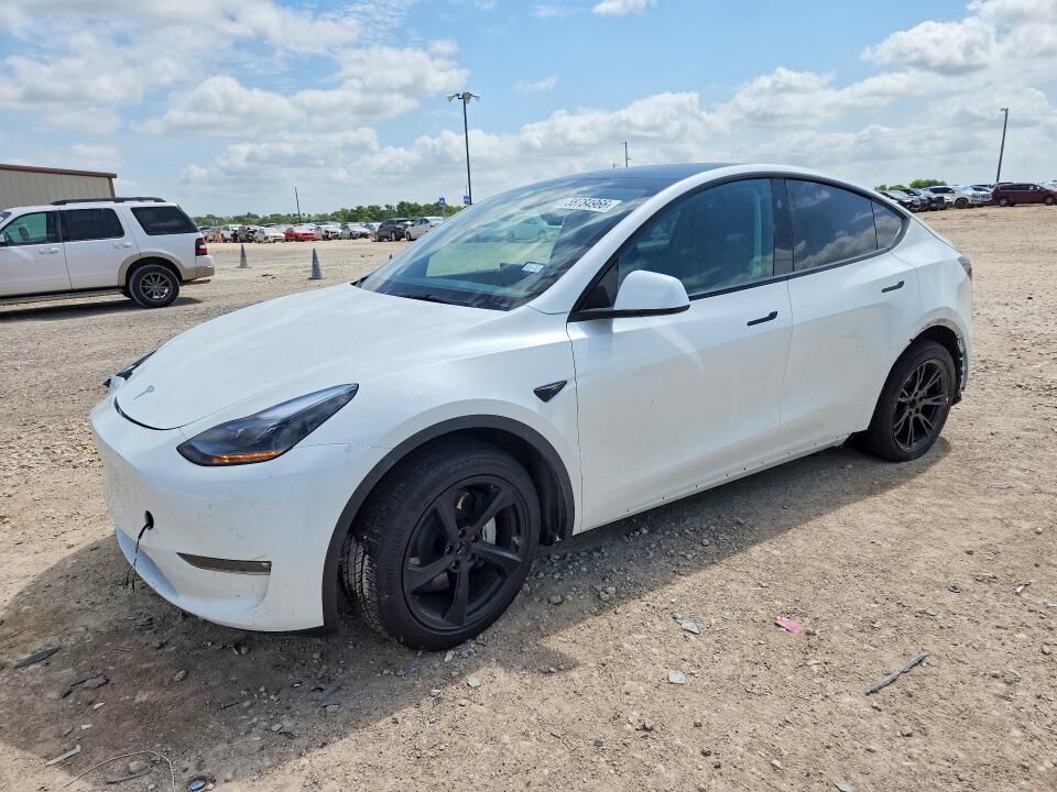 2025 TESLA Model Y
