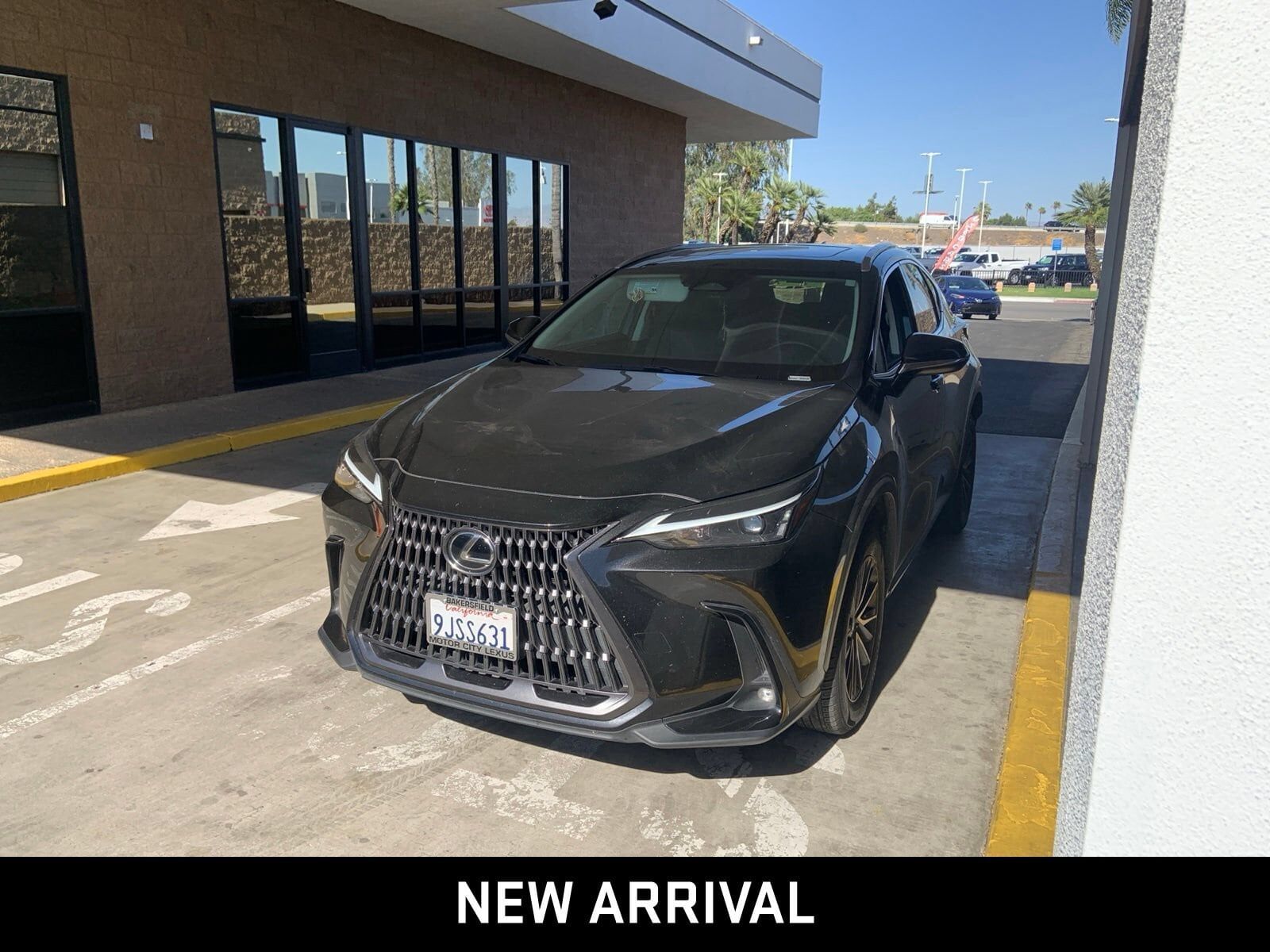 2024 LEXUS NX