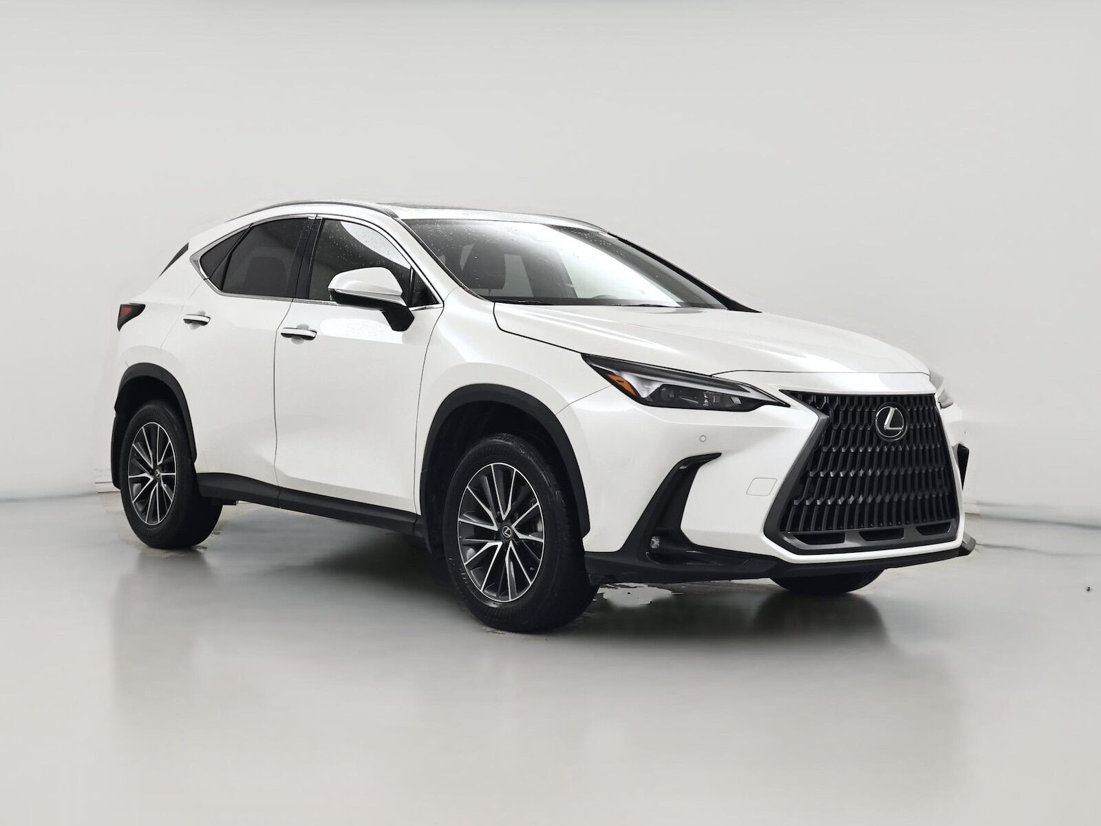 2024 LEXUS NX