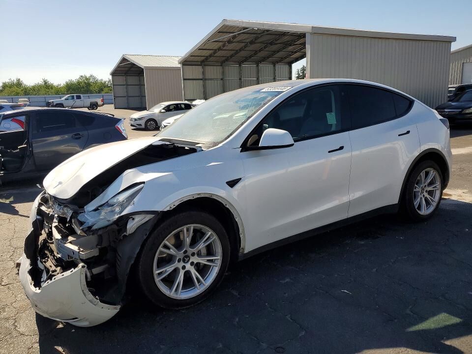 2021 TESLA Model Y