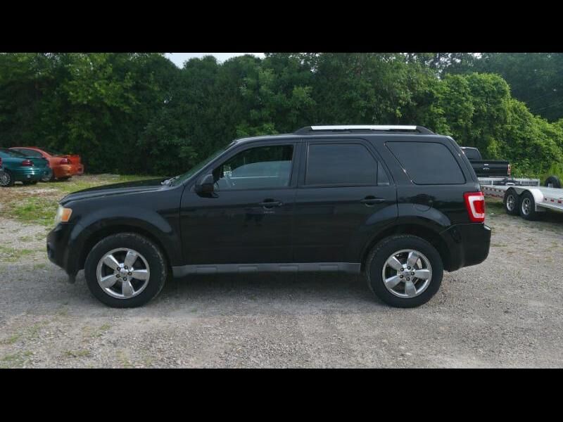 2009 FORD Escape