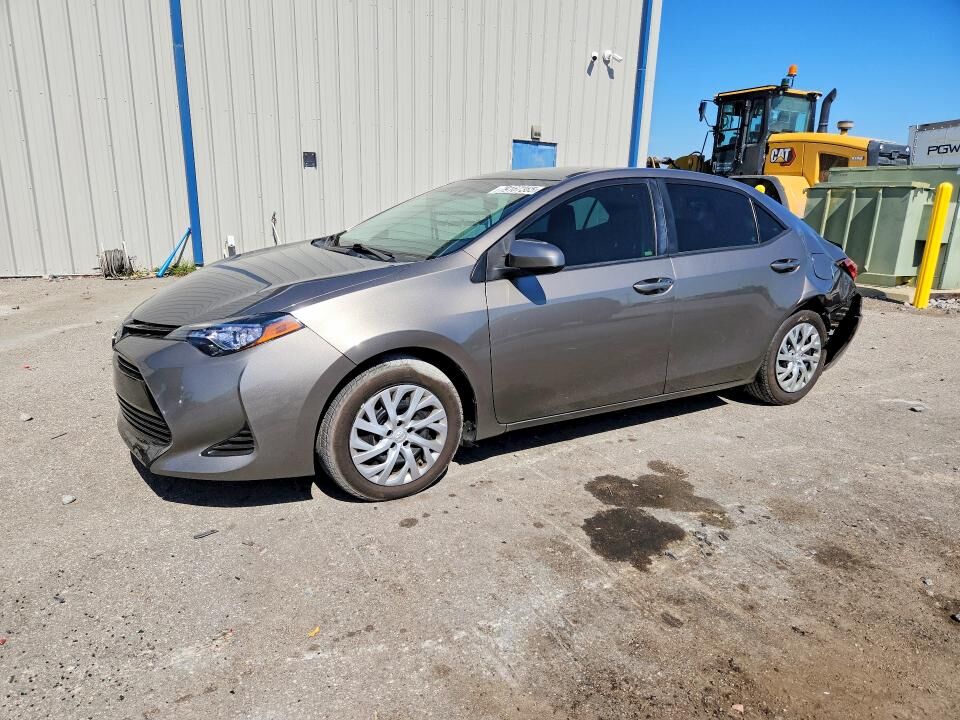 2019 TOYOTA Corolla