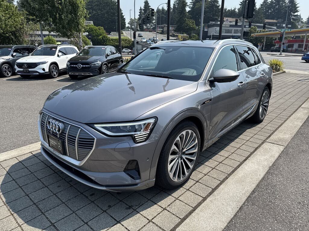 2019 AUDI e-tron