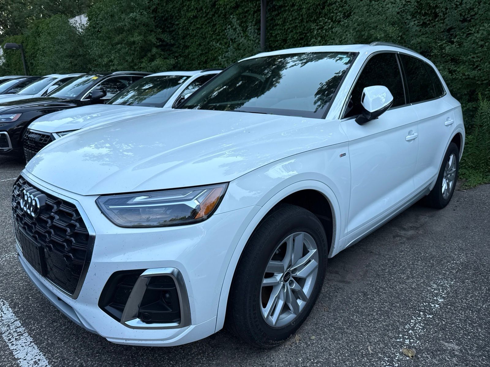 2023 AUDI Q5