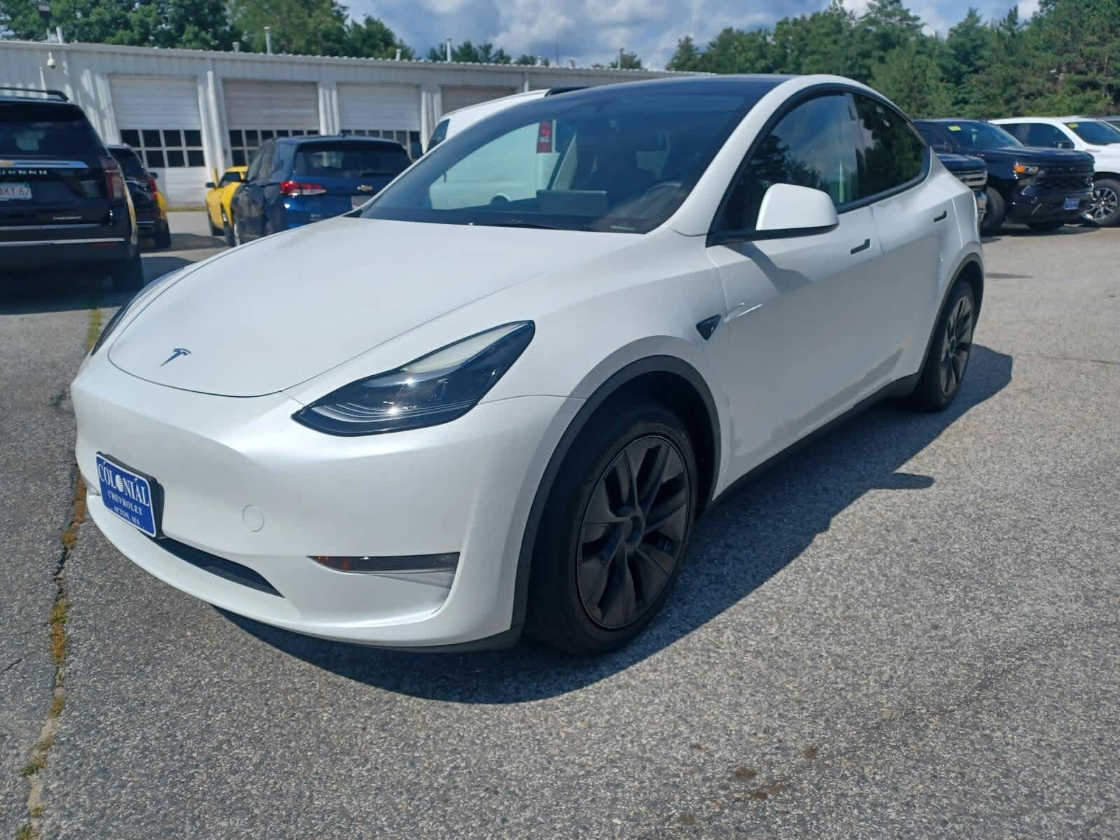 2025 TESLA Model Y
