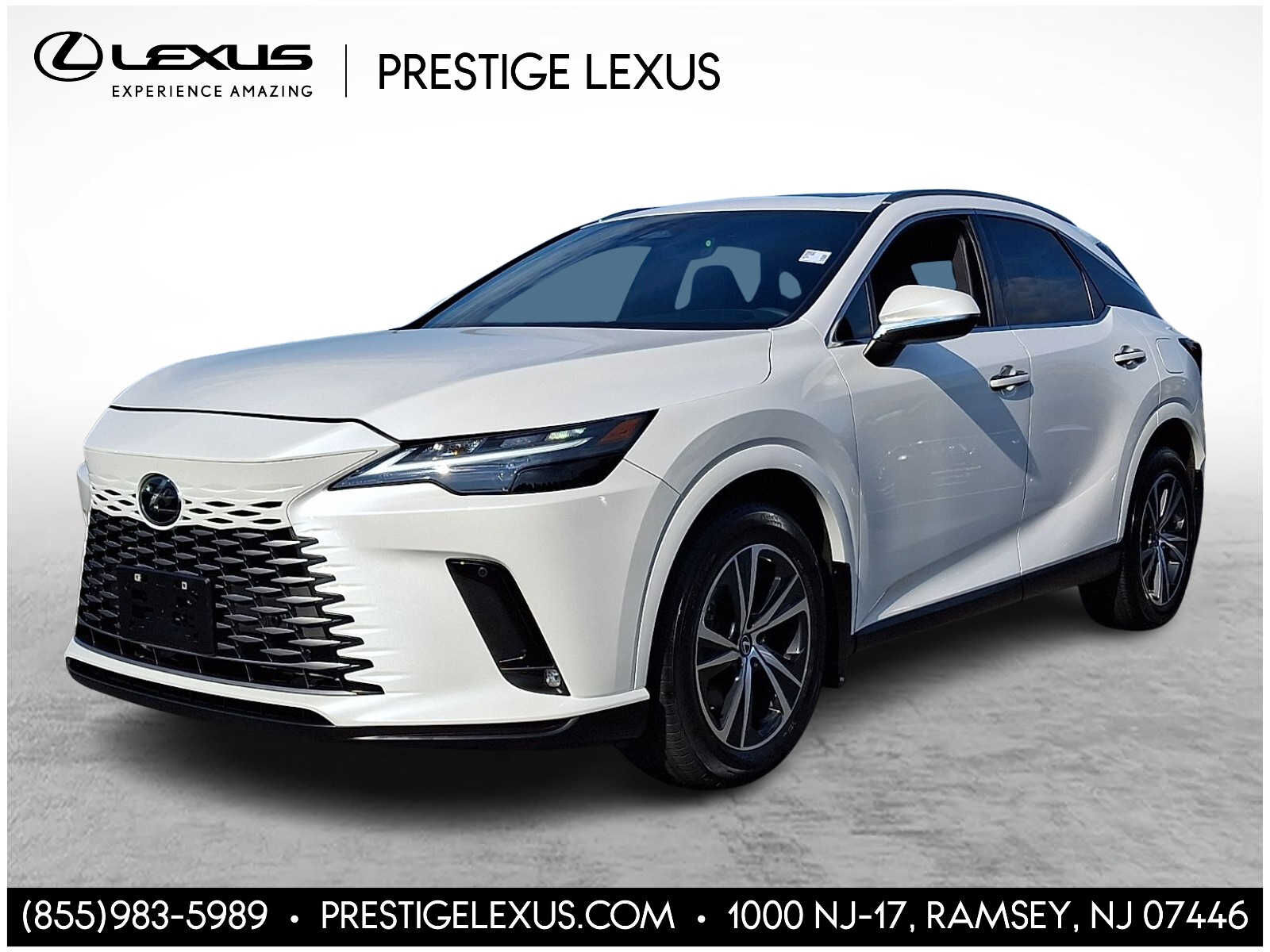 2024 LEXUS RX