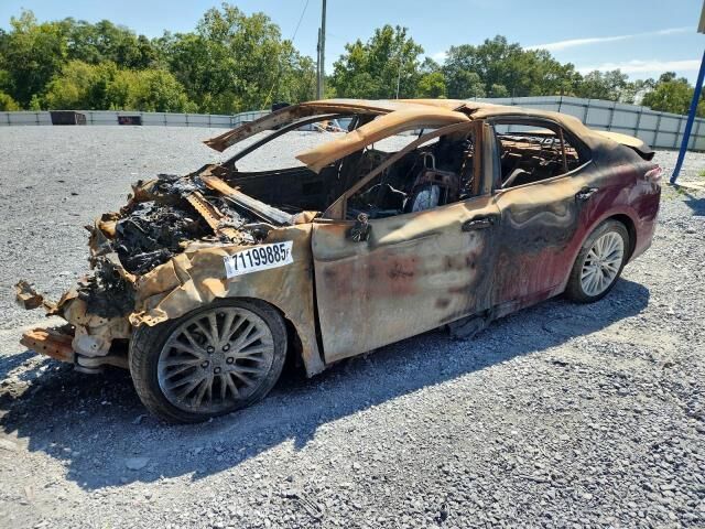 2019 TOYOTA Camry