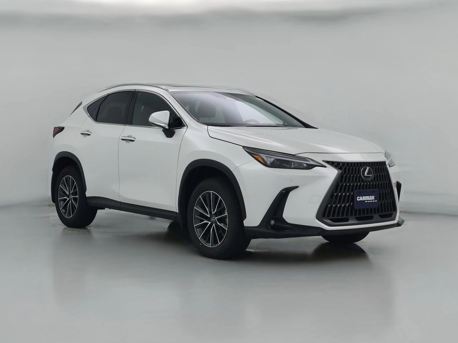 2025 LEXUS NX