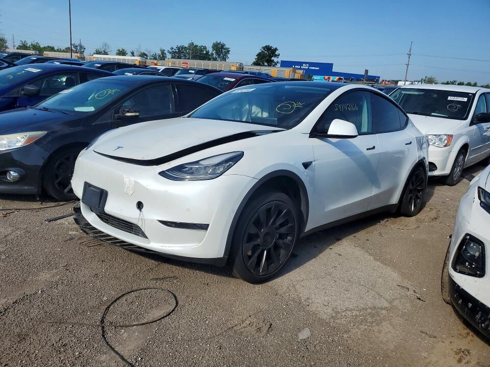 2020 TESLA Model Y