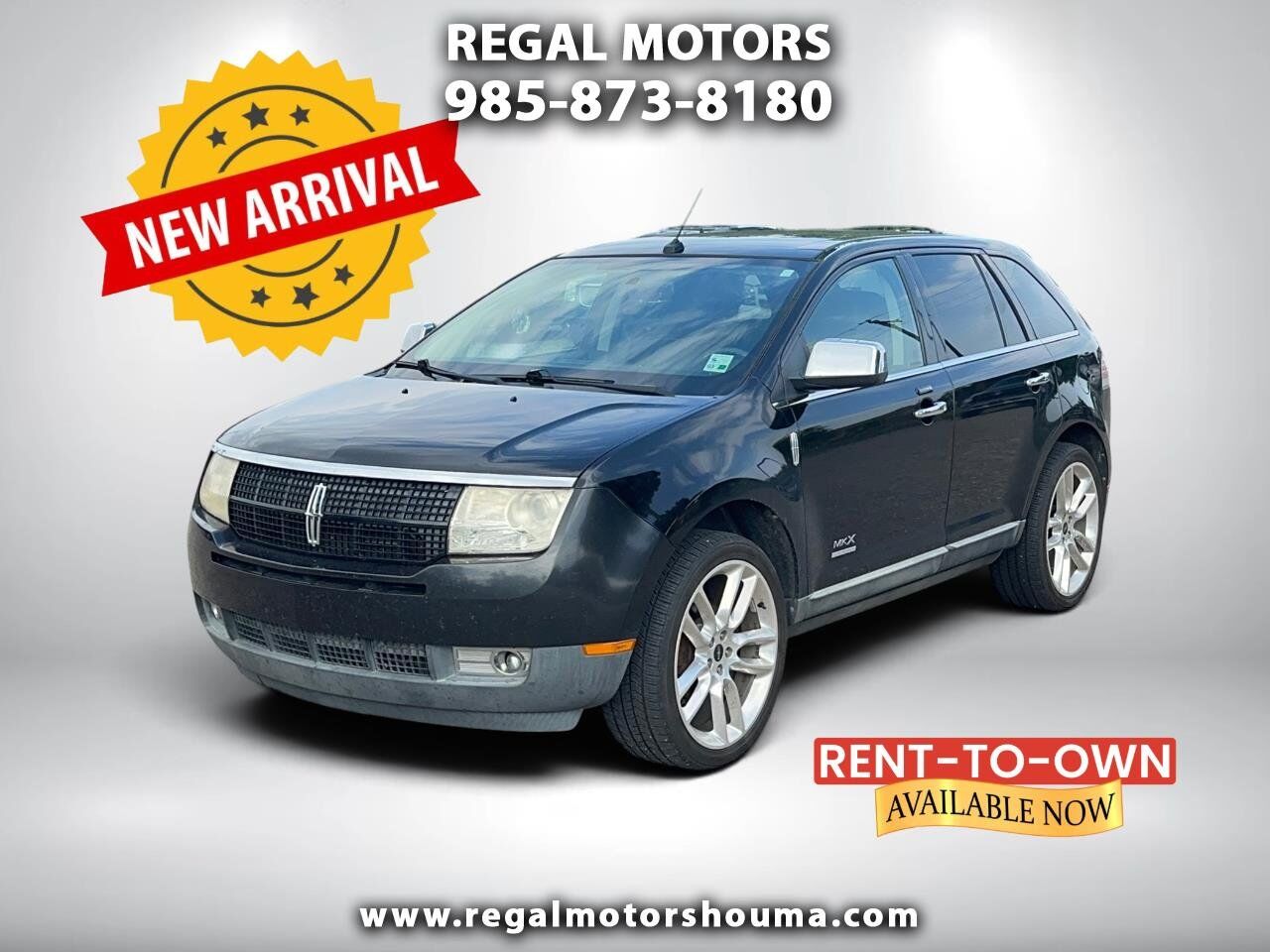2010 LINCOLN MKX
