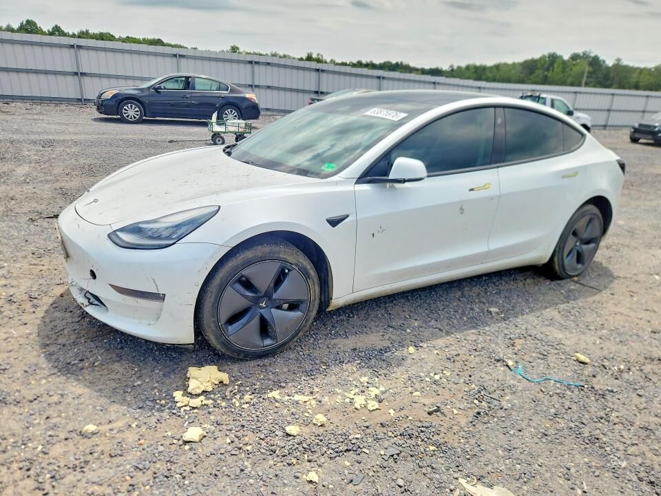 2019 TESLA Model 3