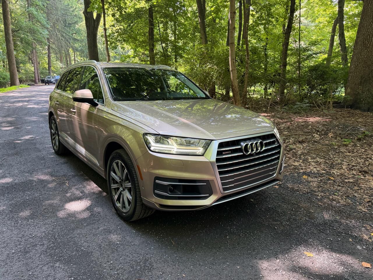 2019 AUDI Q7