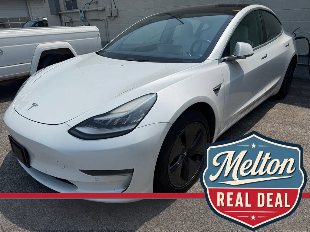 2019 TESLA Model 3