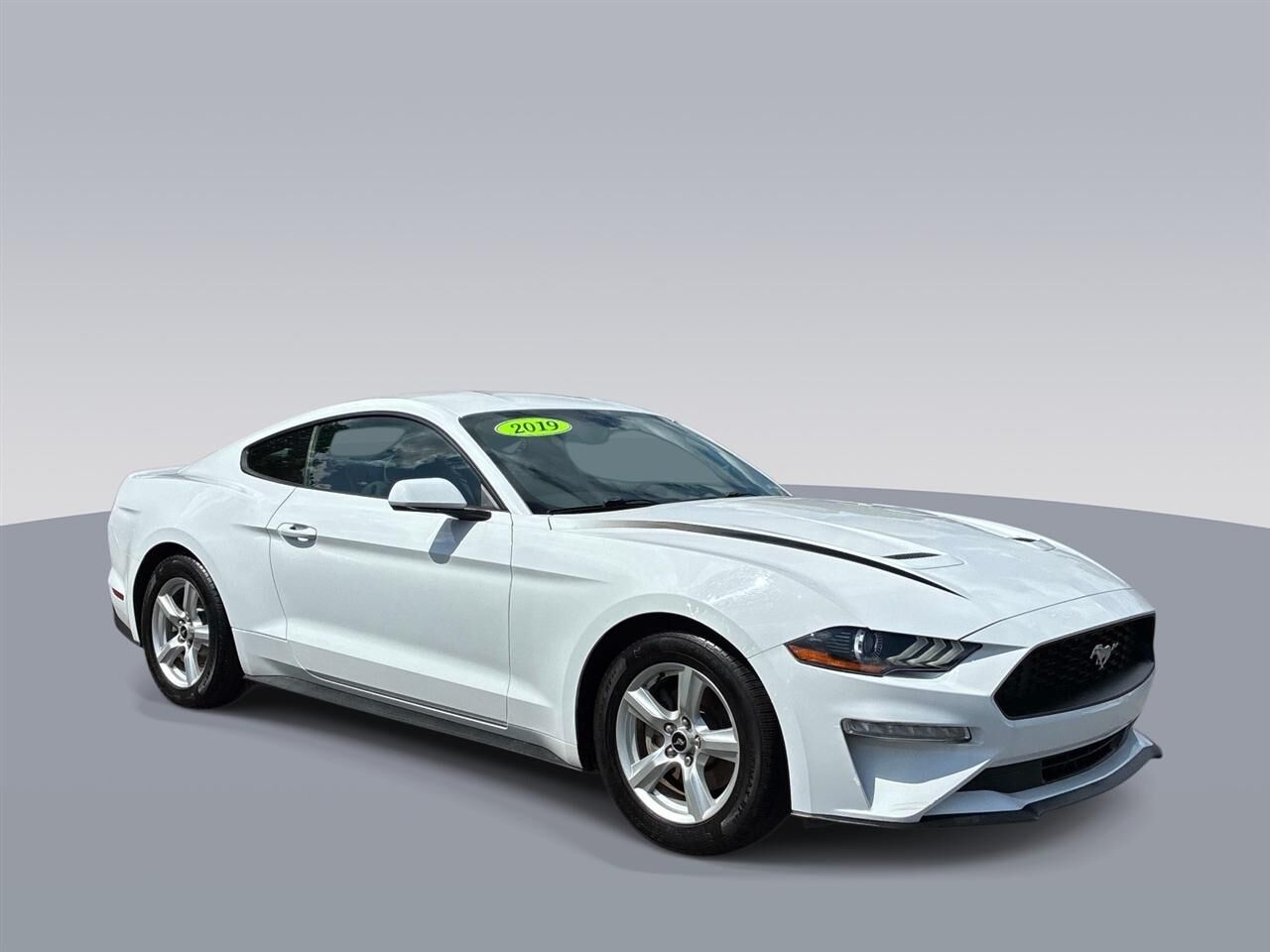 2019 FORD Mustang