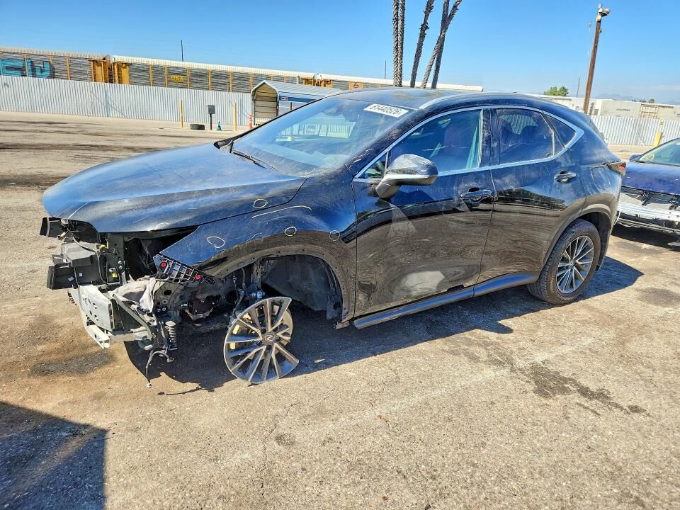 2024 LEXUS NX