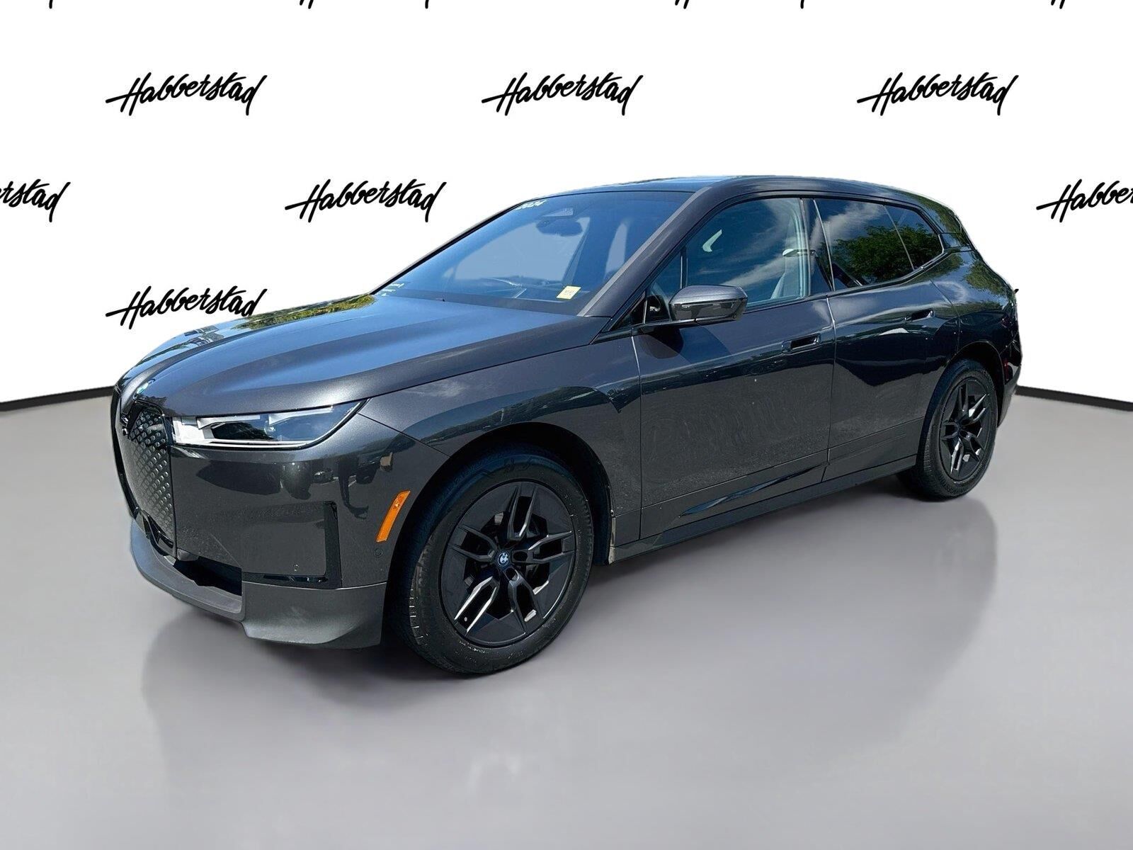 2024 BMW ix