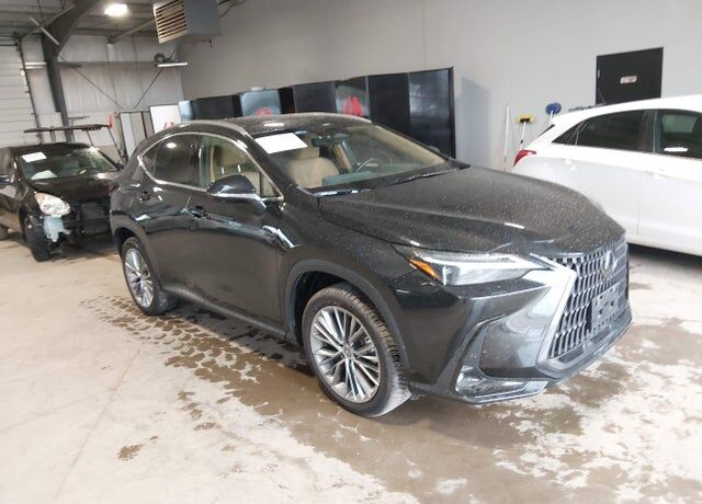 2022 LEXUS NX