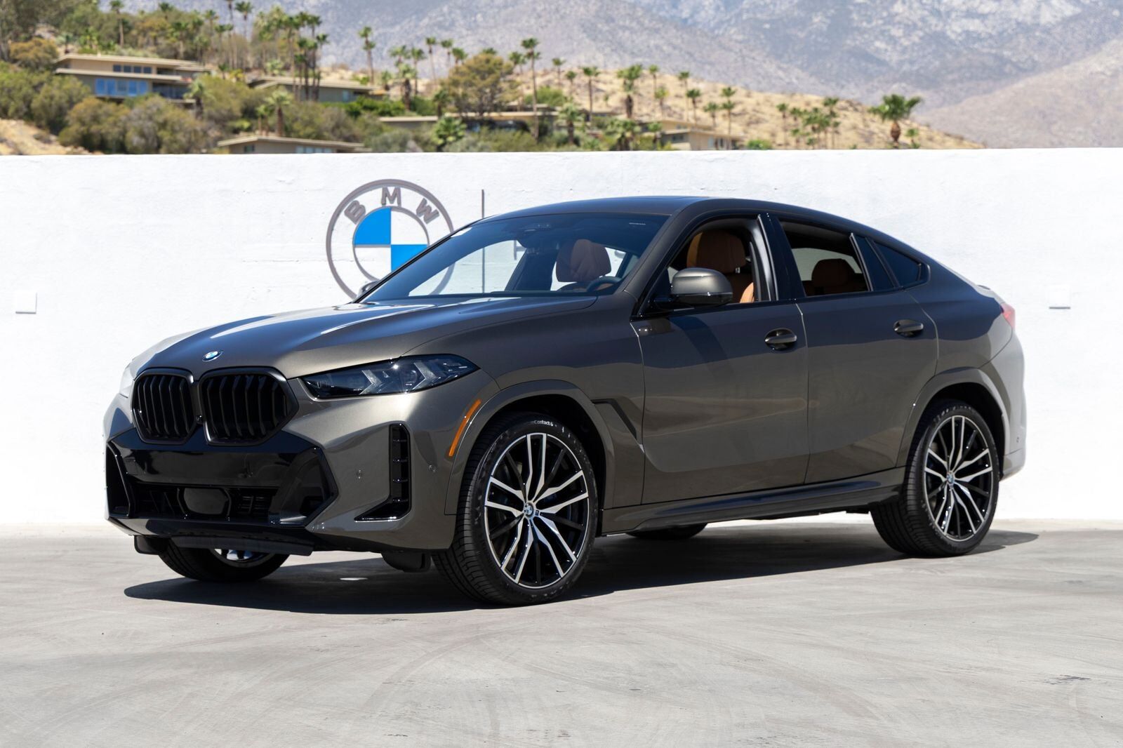 2027 BMW X6