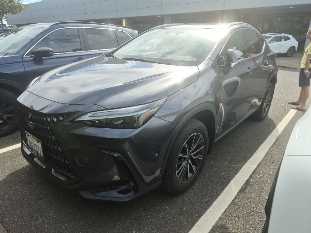 2024 LEXUS NX
