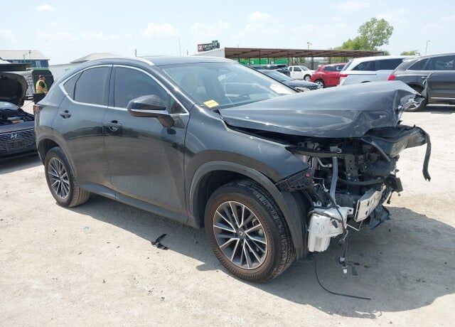2024 LEXUS NX