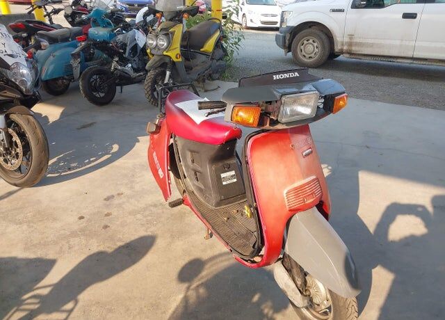 1984 HONDA NH80