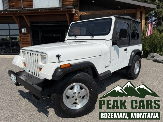 1991 JEEP Wrangler