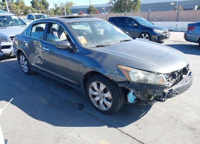 2010 HONDA Accord