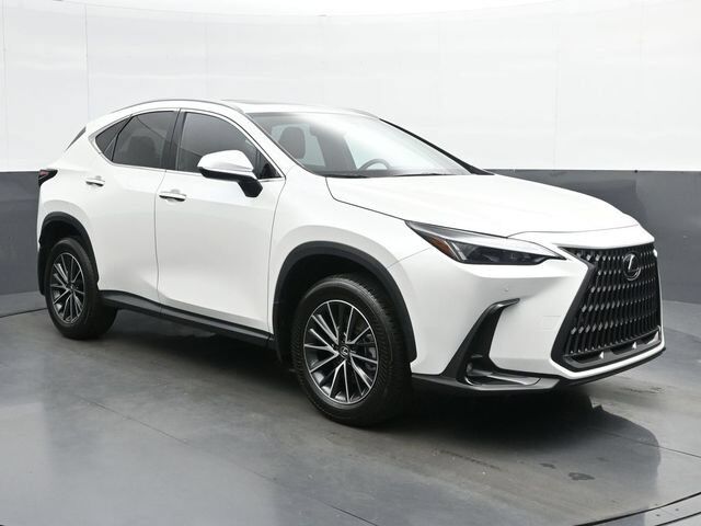 2024 LEXUS NX