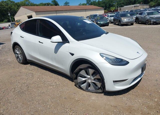 2021 TESLA Model Y
