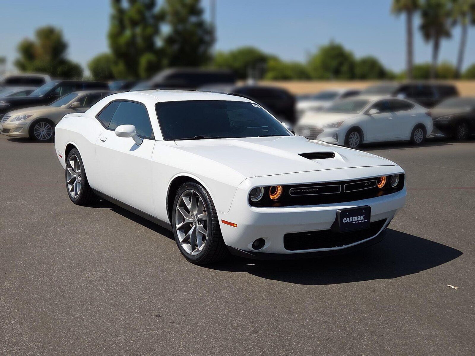2022 DODGE Challenger