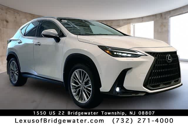 2026 LEXUS NX