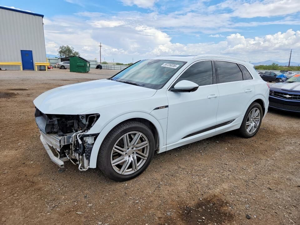2019 AUDI e-tron