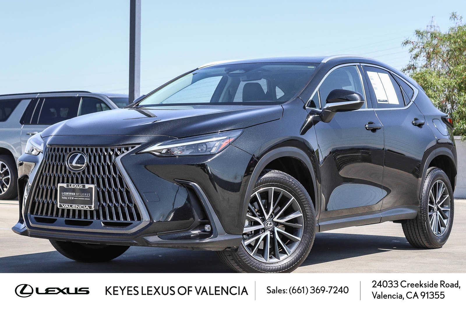 2024 LEXUS NX