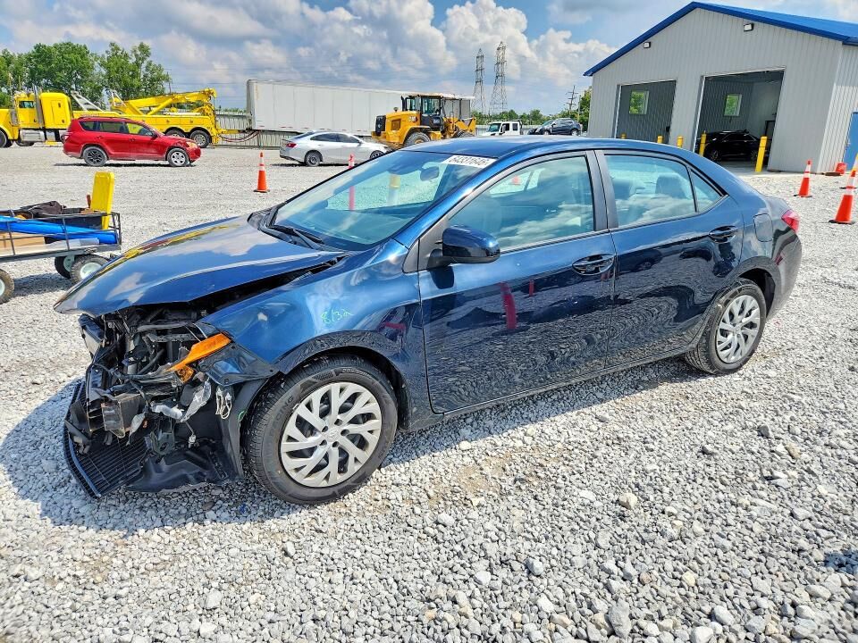 2019 TOYOTA Corolla
