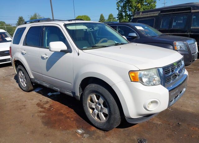 2010 FORD Escape