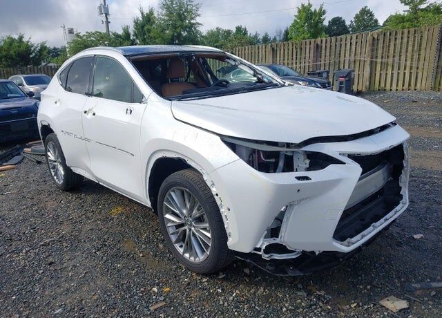 2025 LEXUS NX