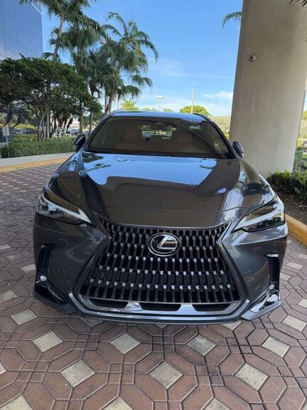 2025 LEXUS NX