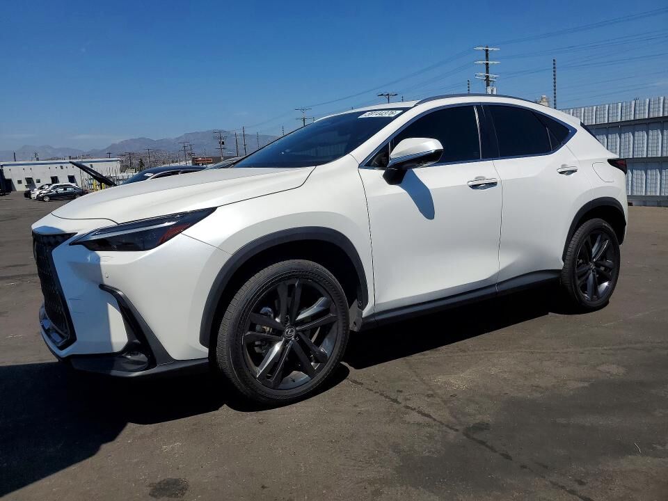 2024 LEXUS NX