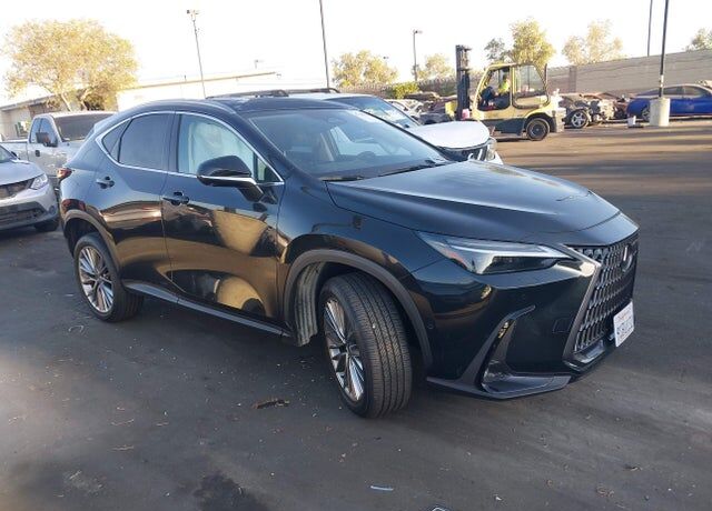 2025 LEXUS NX