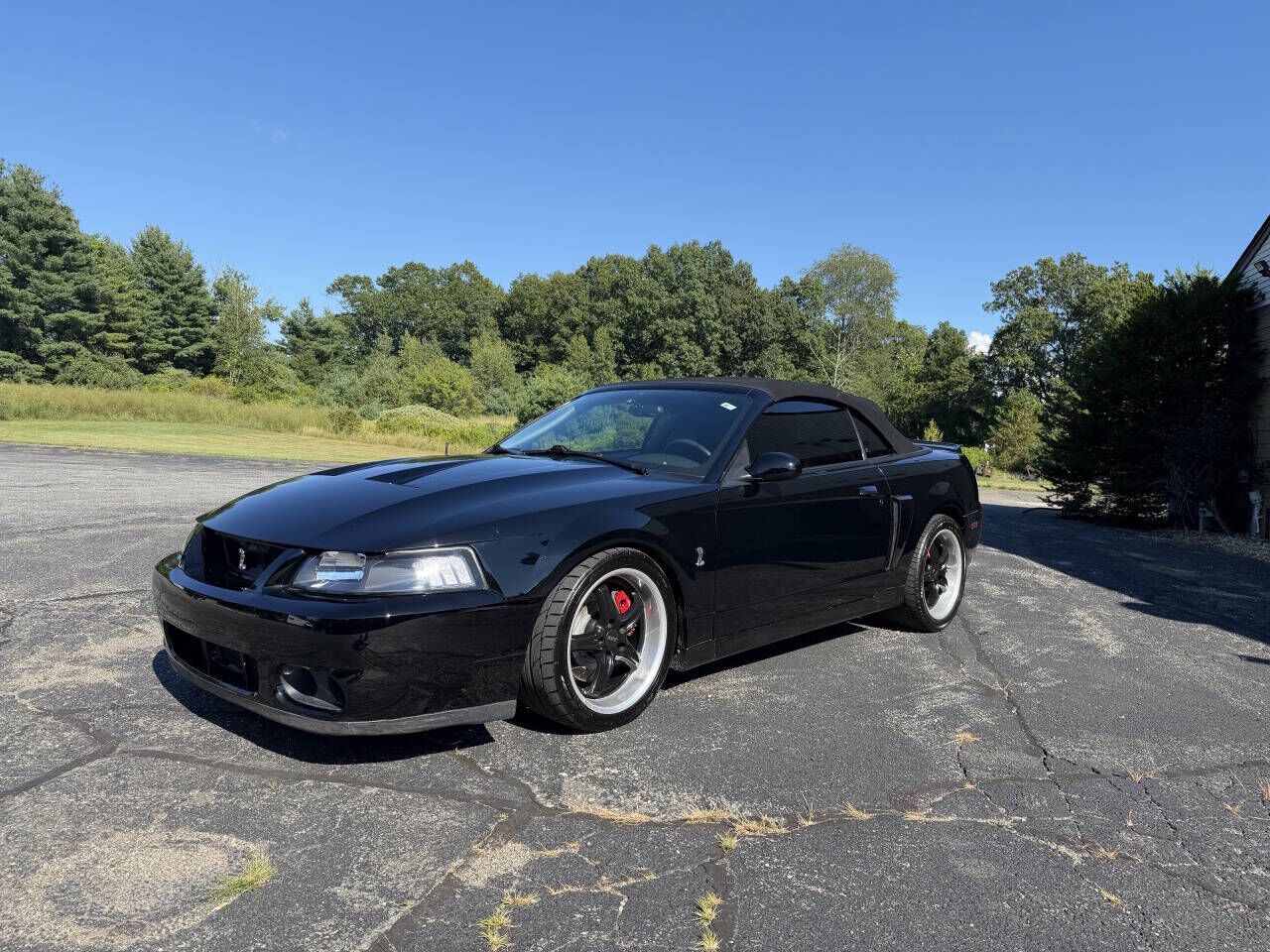 2003 FORD Mustang