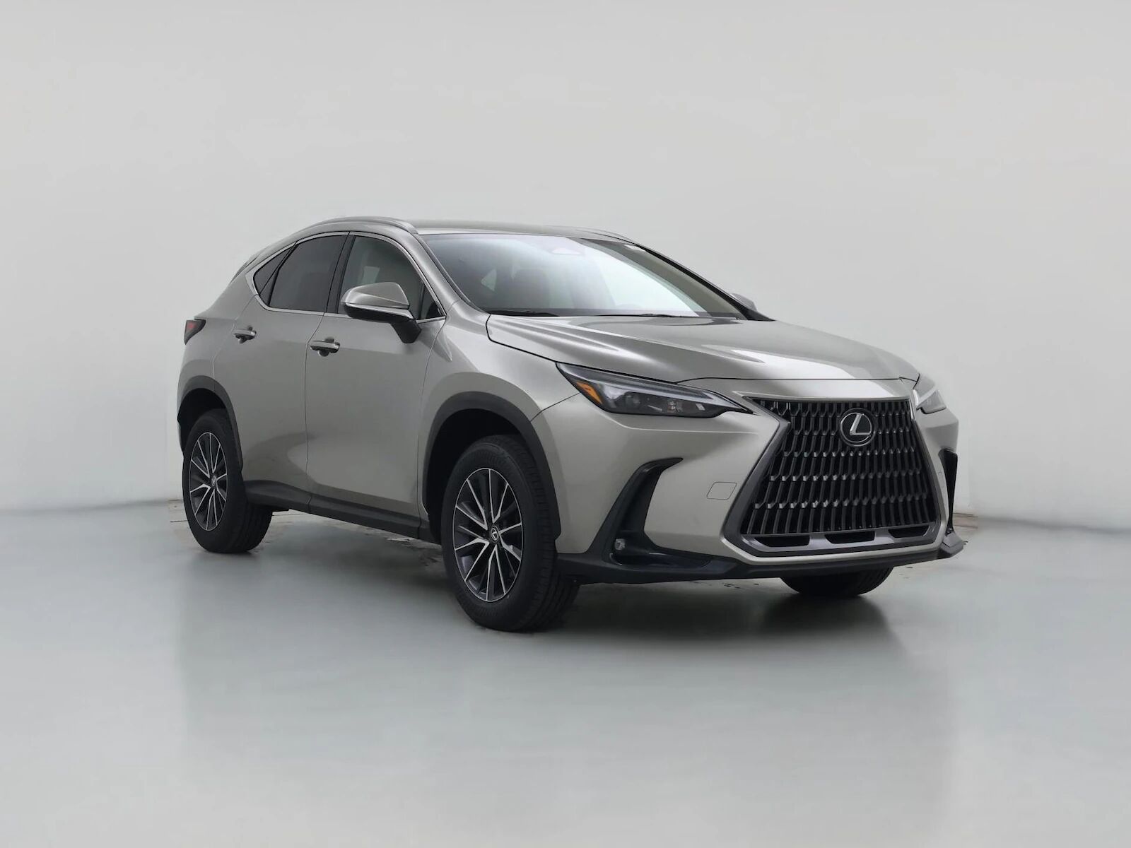 2024 LEXUS NX
