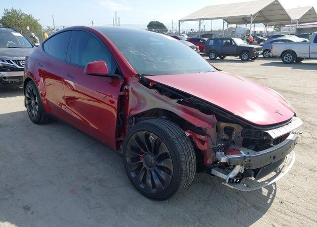 2024 TESLA Model Y