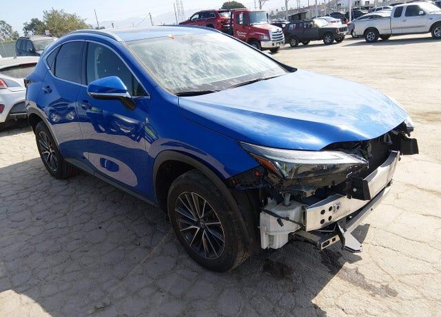 2024 LEXUS NX