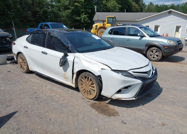 2019 TOYOTA Camry
