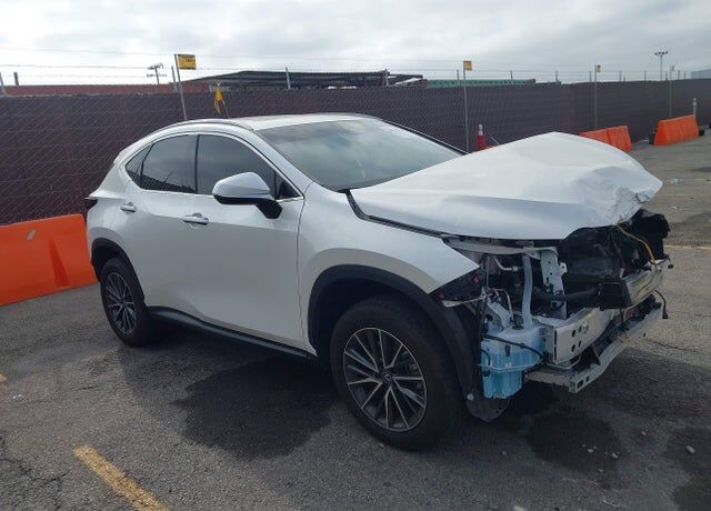 2024 LEXUS NX