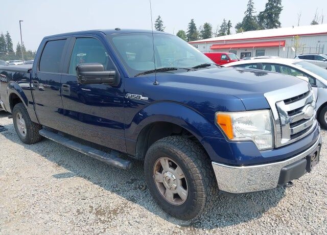 2009 FORD F-150