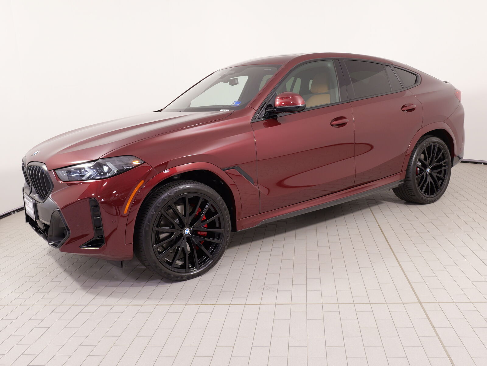 2026 BMW X6