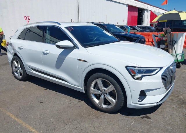 2019 AUDI e-tron