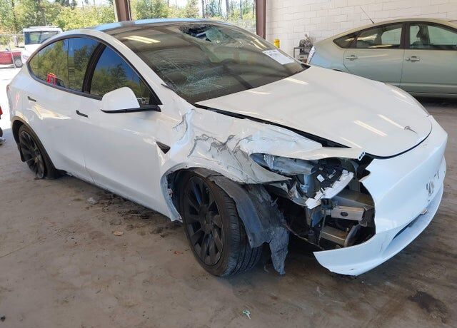 2020 TESLA Model Y